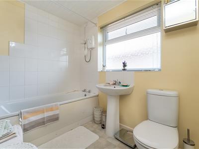 Picture 15
